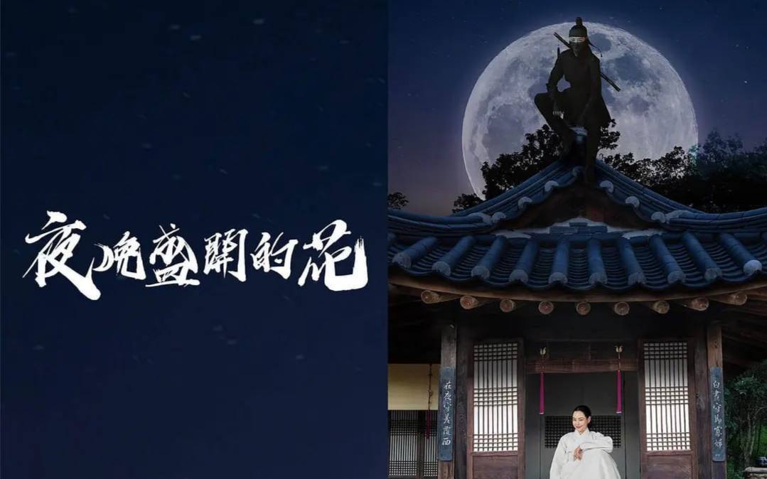 夜晚开的花 밤에 피는 꽃 (2024)[更新至04集]  1.17G